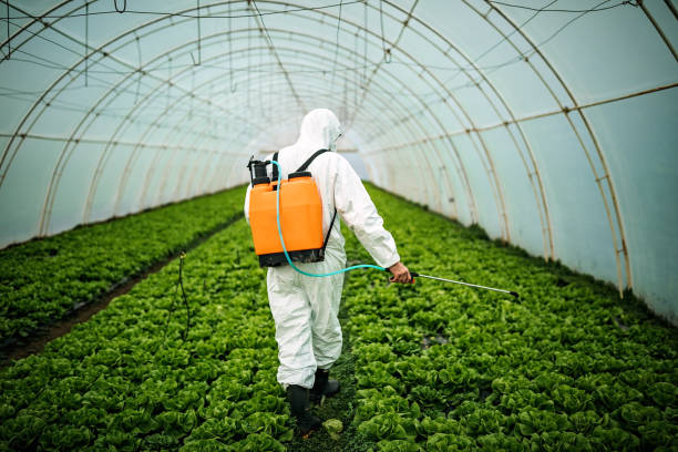 Best Affordable Exterminators  in Wintersville, OH