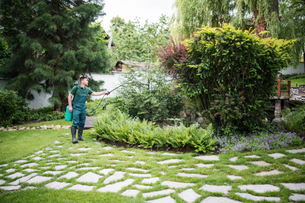 Best Local Pest Control Services  in Wintersville, OH